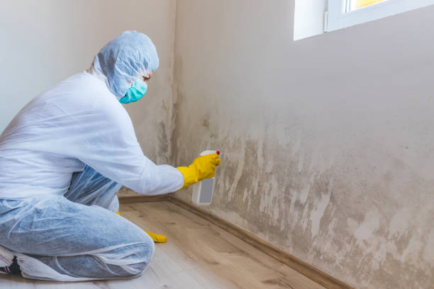 Licensed Mold Testing service in Dublin, TX - WQB Mold Removal